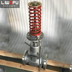 工作原理揭秘：自力式压力麻豆免费播放的自我调节机制解析！